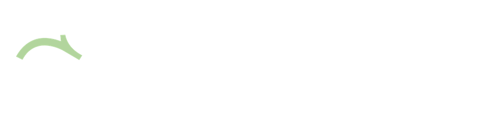 2019-08-09-dragonflip-logo-white-copy.png
